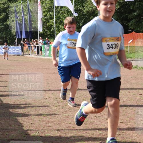 08.09.2024 - Airport Race Strokosch-Dieckow http://msf.ph/oto/7017357 08.09.2024 11:33:20 Ziel 1668, 1723, 3431, 3439 meine-sportfotos.de