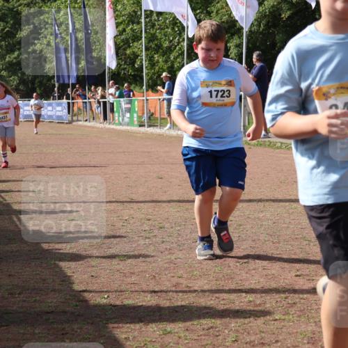 08.09.2024 - Airport Race Strokosch-Dieckow http://msf.ph/oto/7017375 08.09.2024 11:33:21 Ziel 1640, 1668, 1723, 3431, 3439 meine-sportfotos.de