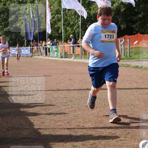 08.09.2024 - Airport Race Strokosch-Dieckow http://msf.ph/oto/7017393 08.09.2024 11:33:21 Ziel 1640, 1668, 1723, 3431, 3439 meine-sportfotos.de