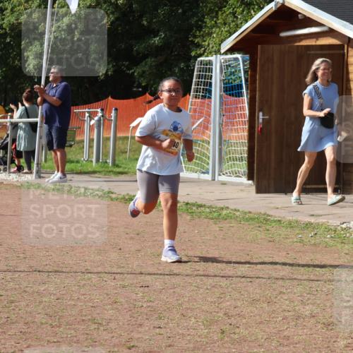 08.09.2024 - Airport Race Strokosch-Dieckow http://msf.ph/oto/7017643 08.09.2024 11:33:28 Ziel 1629, 1640, 1674, 3431 meine-sportfotos.de