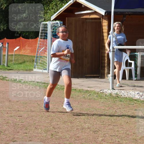 08.09.2024 - Airport Race Strokosch-Dieckow http://msf.ph/oto/7017665 08.09.2024 11:33:29 Ziel 1629, 1640, 1674, 3431 meine-sportfotos.de