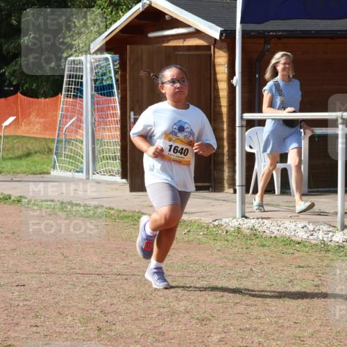 08.09.2024 - Airport Race Strokosch-Dieckow http://msf.ph/oto/7017681 08.09.2024 11:33:29 Ziel 1629, 1640, 1674, 3431 meine-sportfotos.de