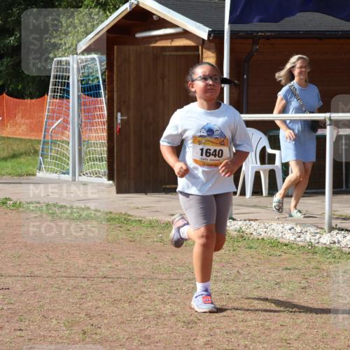 08.09.2024 - Airport Race Strokosch-Dieckow http://msf.ph/oto/7017706 08.09.2024 11:33:29 Ziel 1629, 1640, 1674, 3431 meine-sportfotos.de