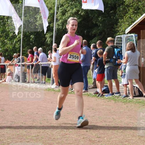 08.09.2024 - Airport Race Strokosch-Dieckow http://msf.ph/oto/7017707 08.09.2024 12:08:09 Ziel 2518, 2559, 3068 meine-sportfotos.de
