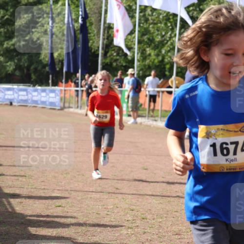 08.09.2024 - Airport Race Strokosch-Dieckow http://msf.ph/oto/7017734 08.09.2024 11:33:31 Ziel 1629, 1640, 1674 meine-sportfotos.de