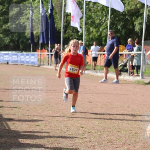 08.09.2024 - Airport Race Strokosch-Dieckow http://msf.ph/oto/7017750 08.09.2024 11:33:31 Ziel 1629, 1640, 1674 meine-sportfotos.de