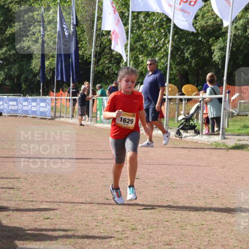 08.09.2024 - Airport Race Strokosch-Dieckow http://msf.ph/oto/7017774 08.09.2024 11:33:31 Ziel 1629, 1640, 1674 meine-sportfotos.de