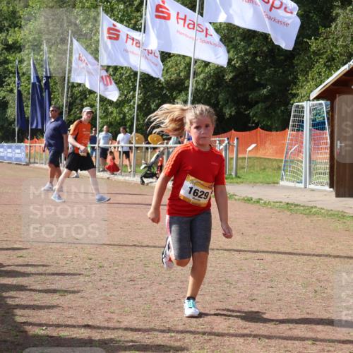 08.09.2024 - Airport Race Strokosch-Dieckow http://msf.ph/oto/7017883 08.09.2024 11:33:33 Ziel 1629, 1640, 1674 meine-sportfotos.de