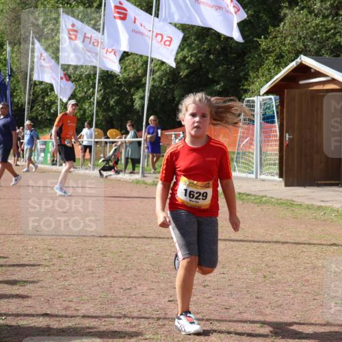 08.09.2024 - Airport Race Strokosch-Dieckow http://msf.ph/oto/7017903 08.09.2024 11:33:33 Ziel 1629, 1640, 1674 meine-sportfotos.de