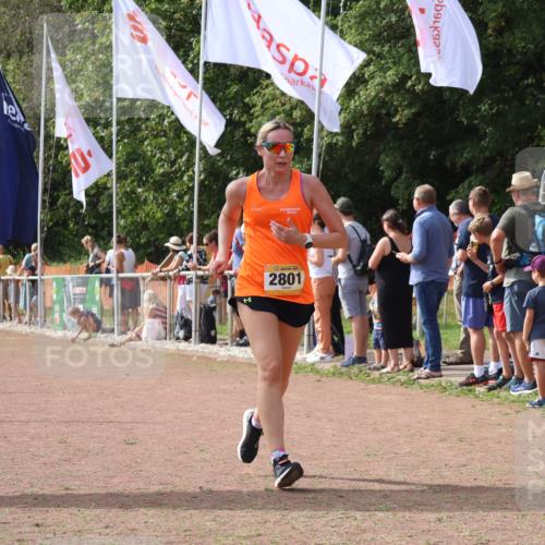 08.09.2024 - Airport Race Strokosch-Dieckow http://msf.ph/oto/7018011 08.09.2024 12:08:23 Ziel 352, 2555, 2801 meine-sportfotos.de