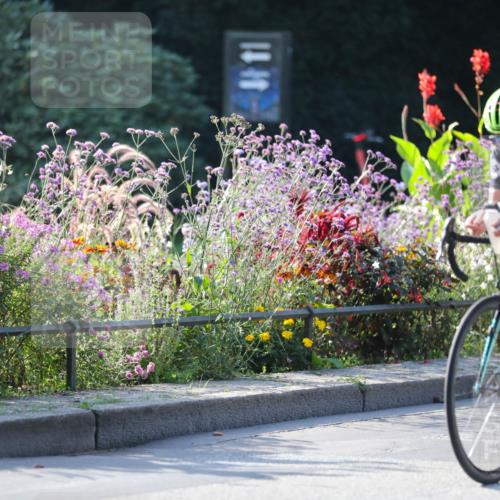 08.09.2024 - Stadtparktriathlon Zöllner http://msf.ph/oto/7018012 08.09.2024 10:00:00 Radfahren 215, 222, 230, 259, 262 meine-sportfotos.de
