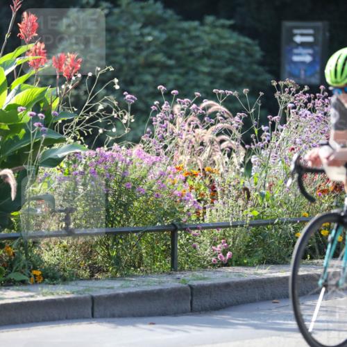 08.09.2024 - Stadtparktriathlon Zöllner http://msf.ph/oto/7018021 08.09.2024 10:00:01 Radfahren 215, 222, 230, 262 meine-sportfotos.de