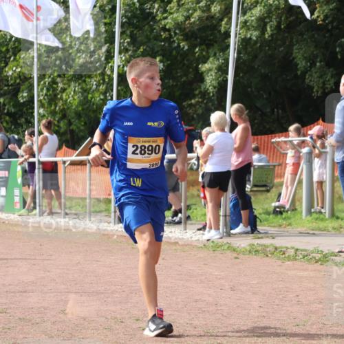 08.09.2024 - Airport Race Strokosch-Dieckow http://msf.ph/oto/7018874 08.09.2024 11:59:52 Ziel 5, 588, 2890, 3142 meine-sportfotos.de