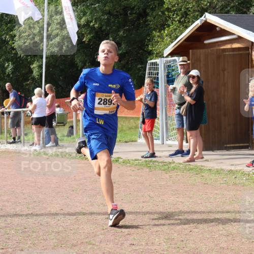 08.09.2024 - Airport Race Strokosch-Dieckow http://msf.ph/oto/7018907 08.09.2024 11:59:53 Ziel 588, 2890, 3142 meine-sportfotos.de