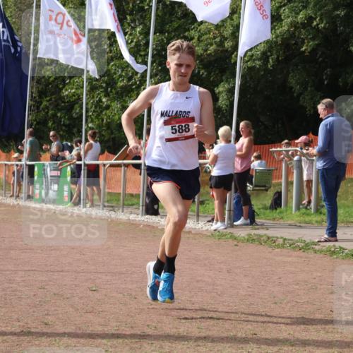 08.09.2024 - Airport Race Strokosch-Dieckow http://msf.ph/oto/7019004 08.09.2024 11:59:55 Ziel 588, 2890, 3092, 3142 meine-sportfotos.de