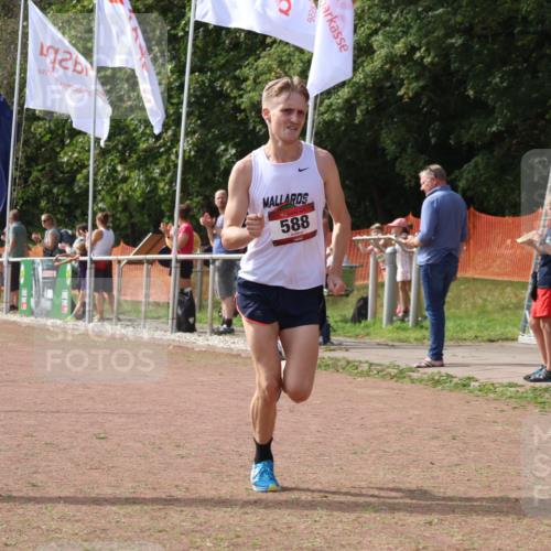 08.09.2024 - Airport Race Strokosch-Dieckow http://msf.ph/oto/7019029 08.09.2024 11:59:55 Ziel 588, 2890, 3092, 3142 meine-sportfotos.de