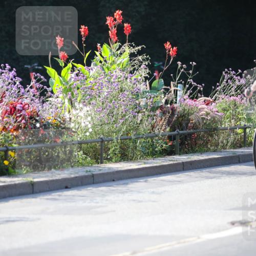 08.09.2024 - Stadtparktriathlon Zöllner http://msf.ph/oto/7019132 08.09.2024 10:09:30 Radfahren 210 meine-sportfotos.de