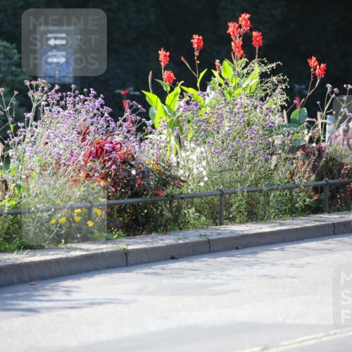 08.09.2024 - Stadtparktriathlon Zöllner http://msf.ph/oto/7019139 08.09.2024 10:09:30 Radfahren 210 meine-sportfotos.de
