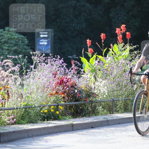 08.09.2024 - Stadtparktriathlon Zöllner http://msf.ph/oto/7019557 08.09.2024 10:12:20 Radfahren 191, 227 meine-sportfotos.de