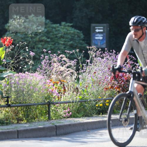 08.09.2024 - Stadtparktriathlon Zöllner http://msf.ph/oto/7019621 08.09.2024 10:12:43 Radfahren 209, 245, 246 meine-sportfotos.de