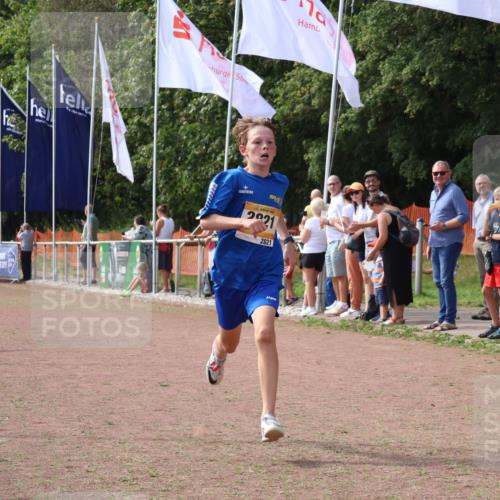 08.09.2024 - Airport Race Strokosch-Dieckow http://msf.ph/oto/7019937 08.09.2024 12:00:55 Ziel 2821 meine-sportfotos.de