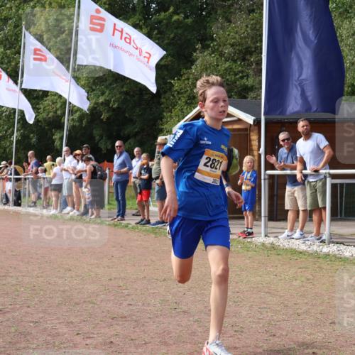 08.09.2024 - Airport Race Strokosch-Dieckow http://msf.ph/oto/7019985 08.09.2024 12:00:56 Ziel 2821 meine-sportfotos.de