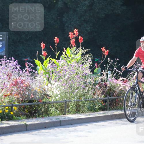08.09.2024 - Stadtparktriathlon Zöllner http://msf.ph/oto/7020274 08.09.2024 10:17:24 Radfahren 193, 206, 219, 229, 235, 247, 271, 288 meine-sportfotos.de