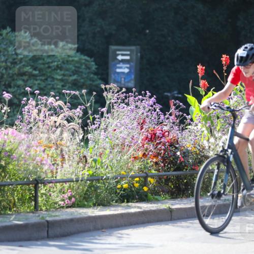08.09.2024 - Stadtparktriathlon Zöllner http://msf.ph/oto/7020318 08.09.2024 10:17:29 Radfahren 193, 206, 219, 235, 247, 292 meine-sportfotos.de