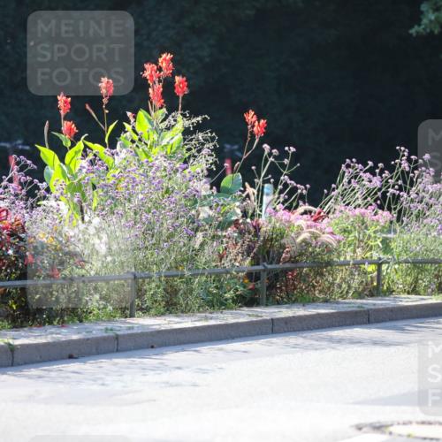 08.09.2024 - Stadtparktriathlon Zöllner http://msf.ph/oto/7020504 08.09.2024 10:18:27 Radfahren 212, 241, 257, 258, 290, 358 meine-sportfotos.de