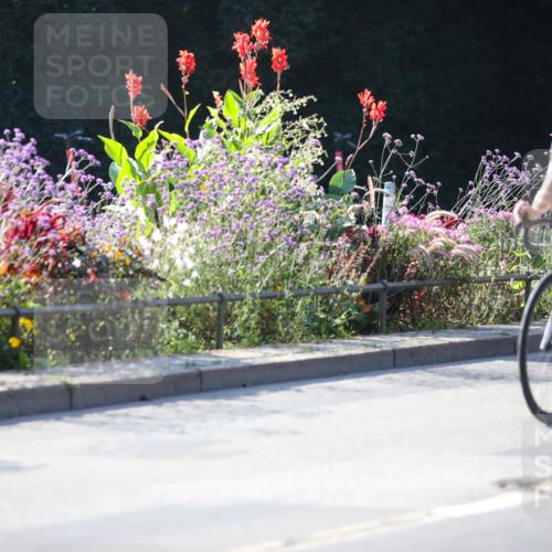 08.09.2024 - Stadtparktriathlon Zöllner http://msf.ph/oto/7020719 08.09.2024 10:19:35 Radfahren 196, 302, 305, 311, 322 meine-sportfotos.de