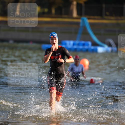 08.09.2024 - Stadtparktriathlon Michael Strokosch http://msf.ph/oto/7020792 08.09.2024 09:06:07 Schwimmen 153, 154, 172 meine-sportfotos.de
