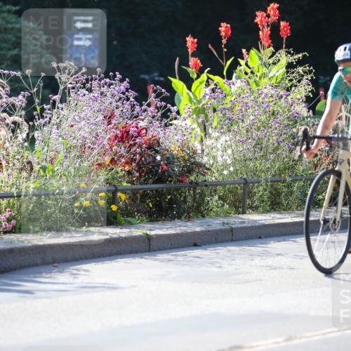08.09.2024 - Stadtparktriathlon Zöllner http://msf.ph/oto/7020809 08.09.2024 10:19:55 Radfahren 183, 304, 308, 318, 321, 359 meine-sportfotos.de