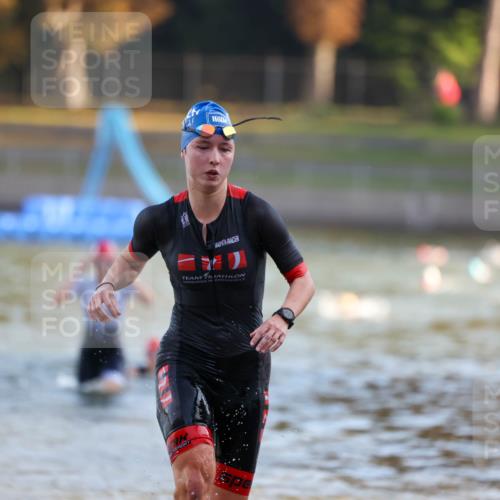 08.09.2024 - Stadtparktriathlon Michael Strokosch http://msf.ph/oto/7020831 08.09.2024 09:06:09 Schwimmen 153, 154, 172 meine-sportfotos.de