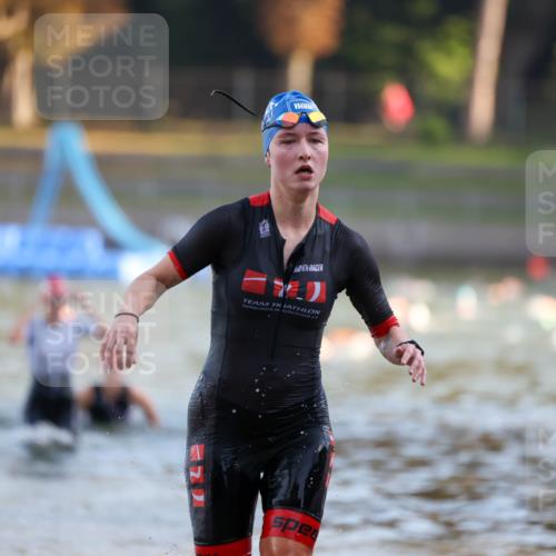 08.09.2024 - Stadtparktriathlon Michael Strokosch http://msf.ph/oto/7020837 08.09.2024 09:06:09 Schwimmen 153, 154, 172 meine-sportfotos.de