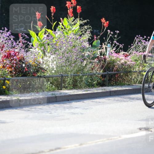08.09.2024 - Stadtparktriathlon Zöllner http://msf.ph/oto/7020853 08.09.2024 10:20:03 Radfahren 183, 234, 299, 321, 352 meine-sportfotos.de