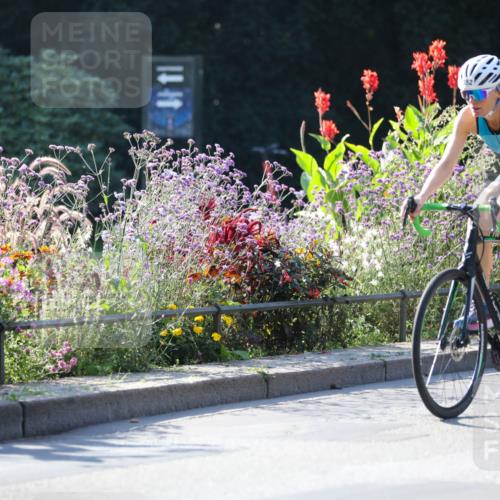 08.09.2024 - Stadtparktriathlon Zöllner http://msf.ph/oto/7020880 08.09.2024 10:20:13 Radfahren 190, 234, 299, 323, 341, 349, 352 meine-sportfotos.de