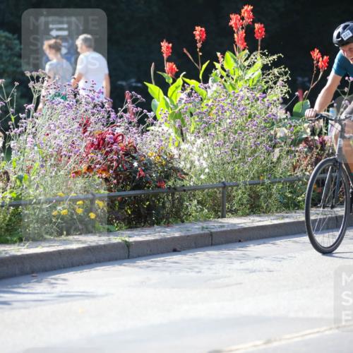 08.09.2024 - Stadtparktriathlon Zöllner http://msf.ph/oto/7020983 08.09.2024 10:20:29 Radfahren 207, 222, 227, 283, 286, 310, 312, 348 meine-sportfotos.de