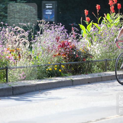 08.09.2024 - Stadtparktriathlon Zöllner http://msf.ph/oto/7020998 08.09.2024 10:20:33 Radfahren 191, 207, 226, 227, 246, 264, 283, 286, 310, 312, 348 meine-sportfotos.de
