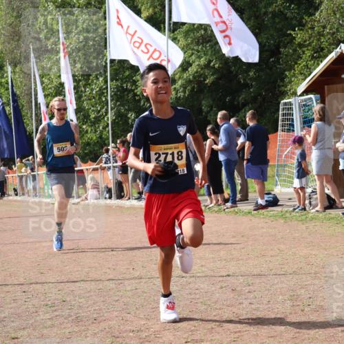 08.09.2024 - Airport Race Strokosch-Dieckow http://msf.ph/oto/7021150 08.09.2024 12:09:43 Ziel 502, 2709, 2718, 2812, 3059 meine-sportfotos.de