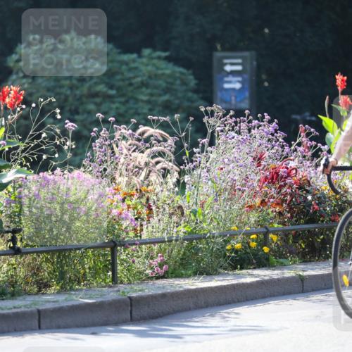 08.09.2024 - Stadtparktriathlon Zöllner http://msf.ph/oto/7021265 08.09.2024 10:21:38 Radfahren 249, 320, 346, 354 meine-sportfotos.de