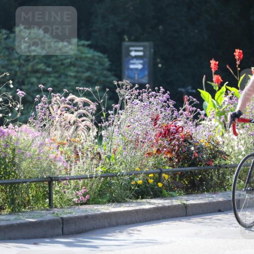 08.09.2024 - Stadtparktriathlon Zöllner http://msf.ph/oto/7021338 08.09.2024 10:21:57 Radfahren 188, 215, 230, 262, 266 meine-sportfotos.de