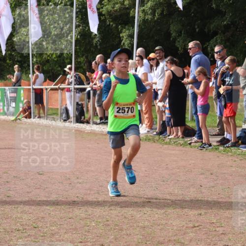08.09.2024 - Airport Race Strokosch-Dieckow http://msf.ph/oto/7021412 08.09.2024 12:01:56 Ziel 2570, 2648, 2684 meine-sportfotos.de