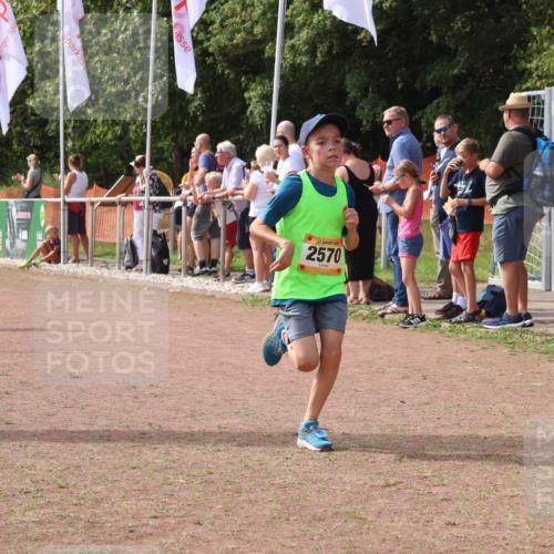 08.09.2024 - Airport Race Strokosch-Dieckow http://msf.ph/oto/7021431 08.09.2024 12:01:56 Ziel 2570, 2648, 2684 meine-sportfotos.de