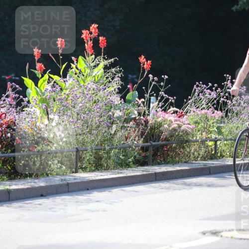 08.09.2024 - Stadtparktriathlon Zöllner http://msf.ph/oto/7021566 08.09.2024 10:22:34 Radfahren 201, 202, 265 meine-sportfotos.de