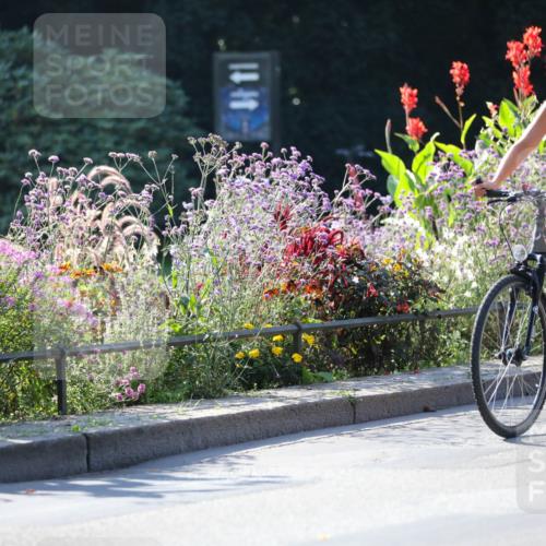 08.09.2024 - Stadtparktriathlon Zöllner http://msf.ph/oto/7021600 08.09.2024 10:22:50 Radfahren 280, 296, 298, 351 meine-sportfotos.de