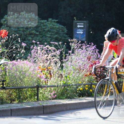 08.09.2024 - Stadtparktriathlon Zöllner http://msf.ph/oto/7021749 08.09.2024 10:23:30 Radfahren 225, 237, 238, 259, 261, 353 meine-sportfotos.de