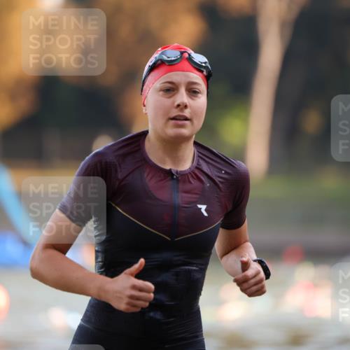 08.09.2024 - Stadtparktriathlon Michael Strokosch http://msf.ph/oto/7021800 08.09.2024 09:07:31 Schwimmen 144 meine-sportfotos.de