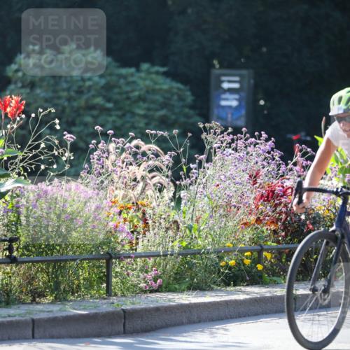 08.09.2024 - Stadtparktriathlon Zöllner http://msf.ph/oto/7021998 08.09.2024 10:24:47 Radfahren 186, 220, 271, 275, 292 meine-sportfotos.de