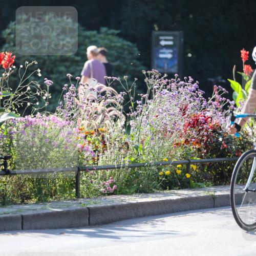 08.09.2024 - Stadtparktriathlon Zöllner http://msf.ph/oto/7022004 08.09.2024 10:24:55 Radfahren 206, 220, 236, 247, 271, 275, 278, 292, 360, 362 meine-sportfotos.de