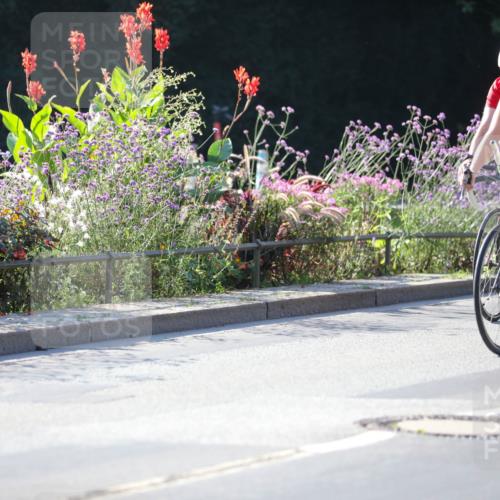 08.09.2024 - Stadtparktriathlon Zöllner http://msf.ph/oto/7022018 08.09.2024 10:24:58 Radfahren 206, 220, 236, 247, 271, 275, 278, 292, 360, 362 meine-sportfotos.de
